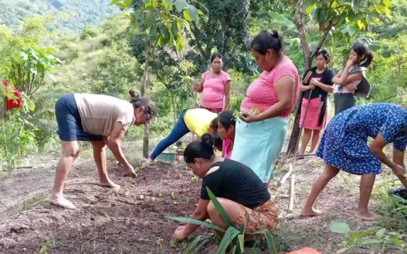 Sistema de riego fortalece la producción agrícola en Jocotán