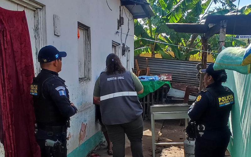 UBA actúa ante caso de maltrato animal evidenciado en redes sociales