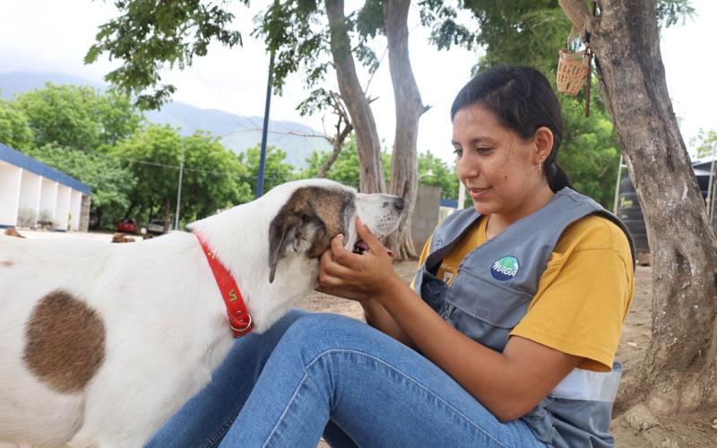 Un día para recordar que los animales también sienten