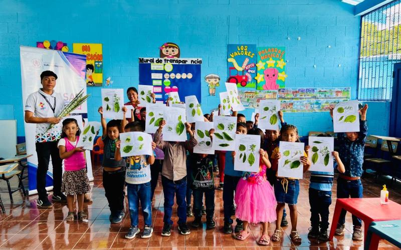 Plantas medicinales Camotán