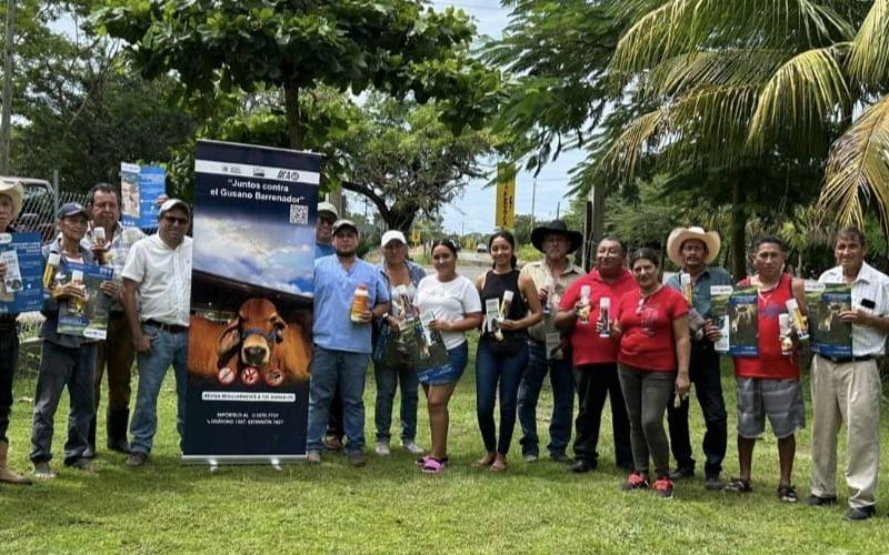 Guatemala refuerza control sanitario para frenar avance del Gusano Barrenador