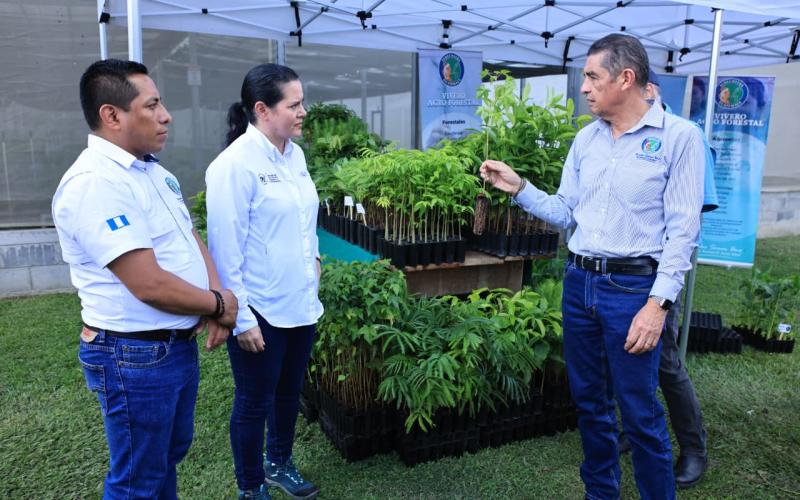 Se reafirma apoyo en beneficio de pequeños productores con cadenas de valor en Alta Verapaz