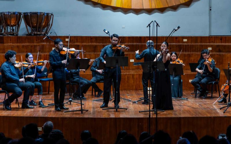 Camerata y Solistas, concierto de la Orquesta Sinfónica Nacional