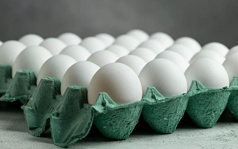 Producción de huevos en el país cuenta con altos estándares sanitarios