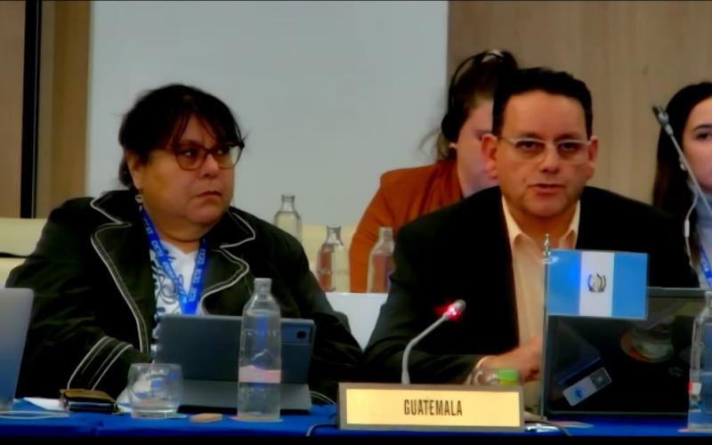 Guatemala reafirma en España que la pesca de tortugas está prohibida en el país