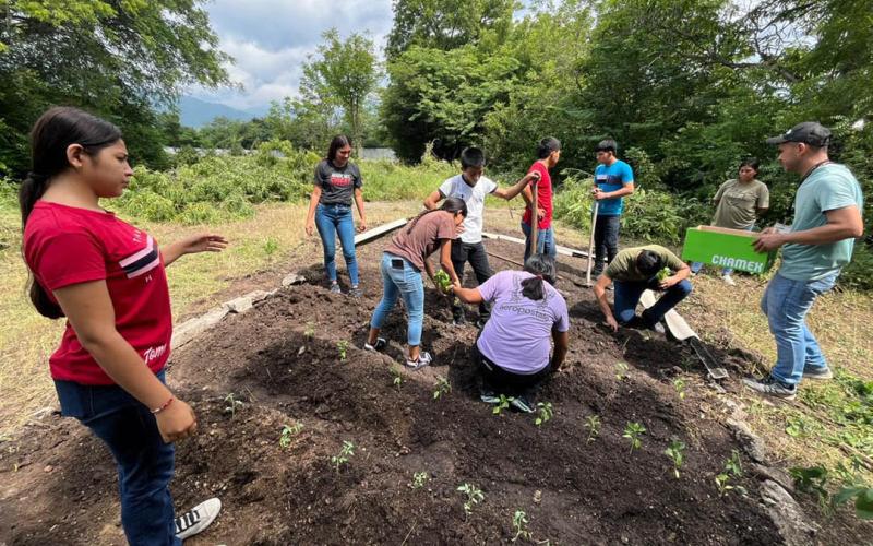 Alimentación saludable con huertos pedagógicos en Río Hondo