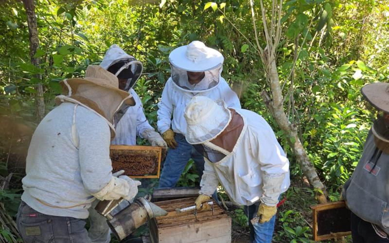 Apicultores de Petén incrementan sus capacidades técnicas y comerciales