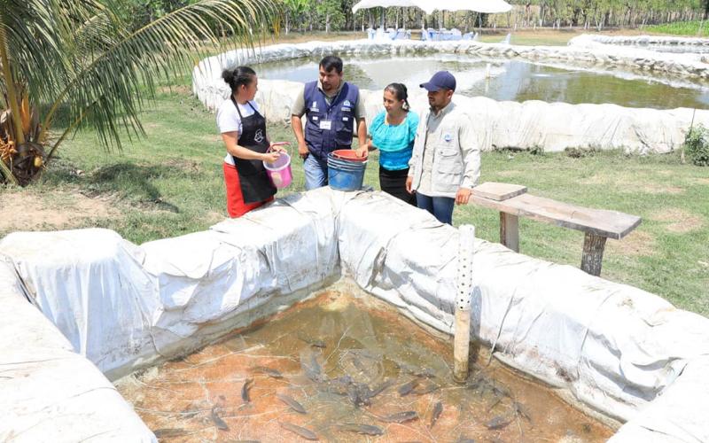 Así puede iniciar un proyecto de Acuicultura Familiar