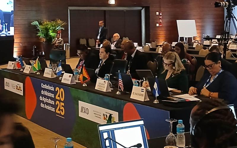 Destacan labor del IICA y reafirman compromiso con la cooperación internacional en agricultura