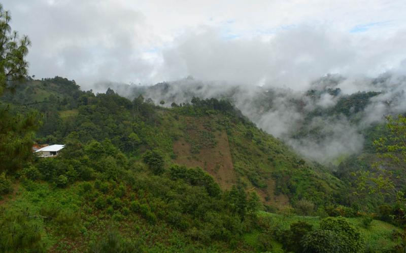 Emiten recomendaciones para proteger cultivos y ganado ante condiciones climáticas variables