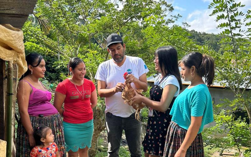 Fortalece la producción avícola con asistencia técnica en Poptún