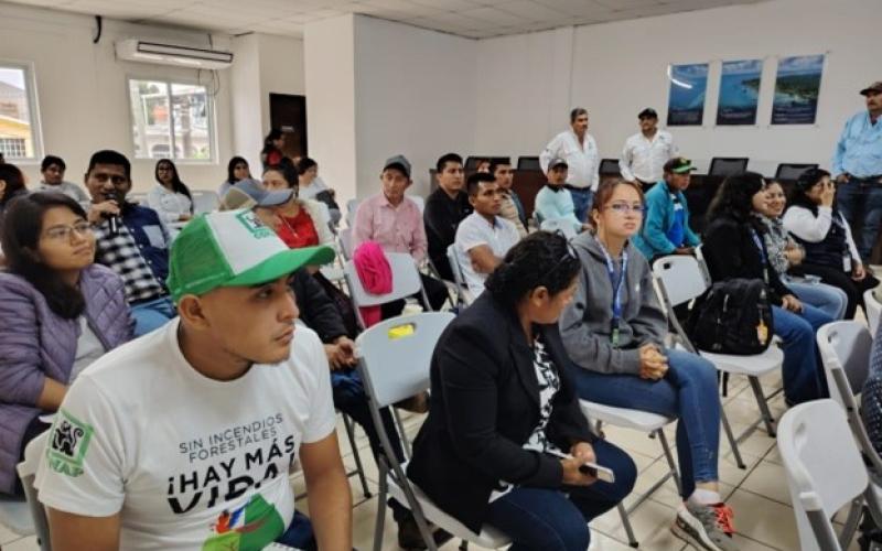 Fortalecen vigilancia contra Influenza Aviar H5N1 en Puerto Barrios