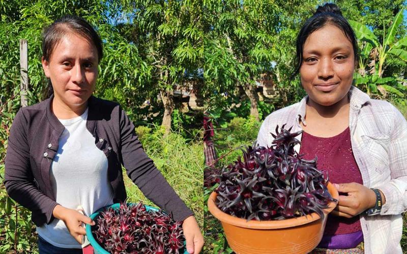 Fortalecen capacidades juveniles el desarrollo rural sostenible en Alta Verapaz