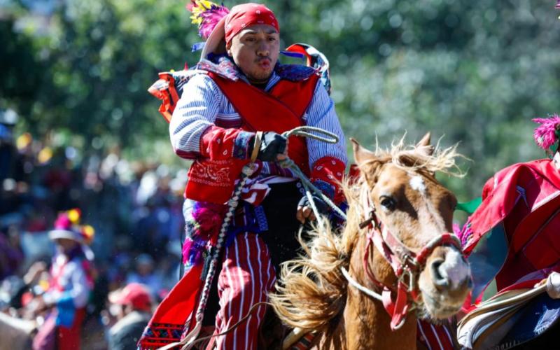 Cada 1 de noviembre se lleva a cabo el denominado "Juego de Gallos".
