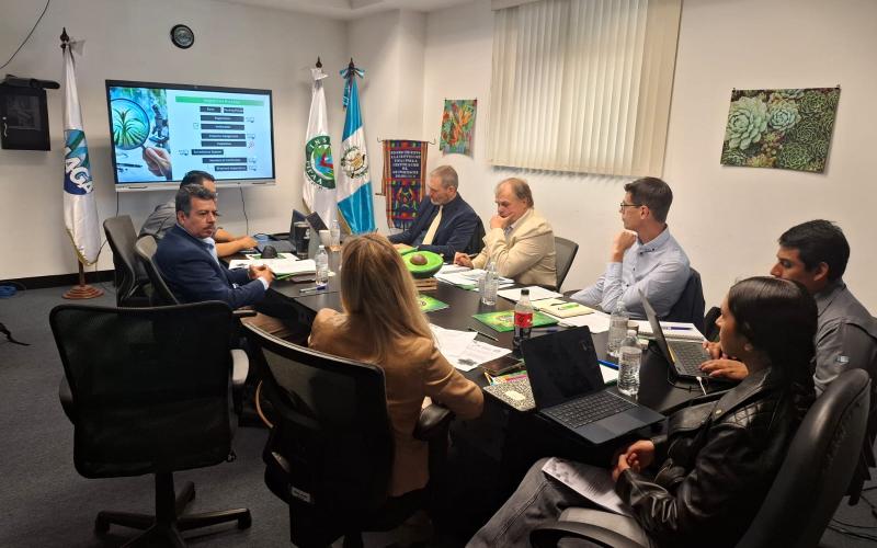 Inician auditoría para aprobar exportación de Petunia y Calibrachoa