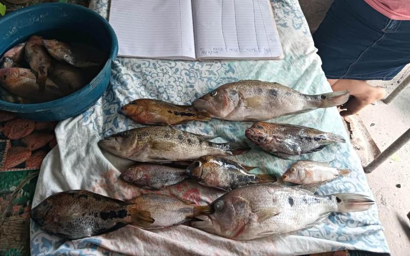 consejos de un regalo perfecto para un diseñador gráfico en navidad