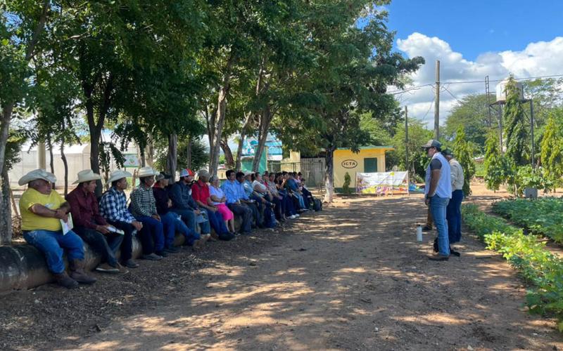 Optimizan habilidades de agricultores en manejo de granos básicos y cultivos extensivos