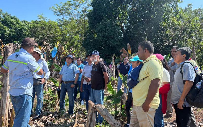 Productores de El Tulate fortalecen sus capacidades en nutrición vegetal y análisis de suelo