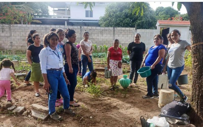 Promueven huertos familiares y el bienestar de agricultores en Santa Rosa