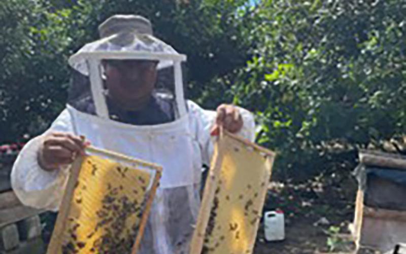 Realizan manejo técnico de colmenas en Sacatepéquez