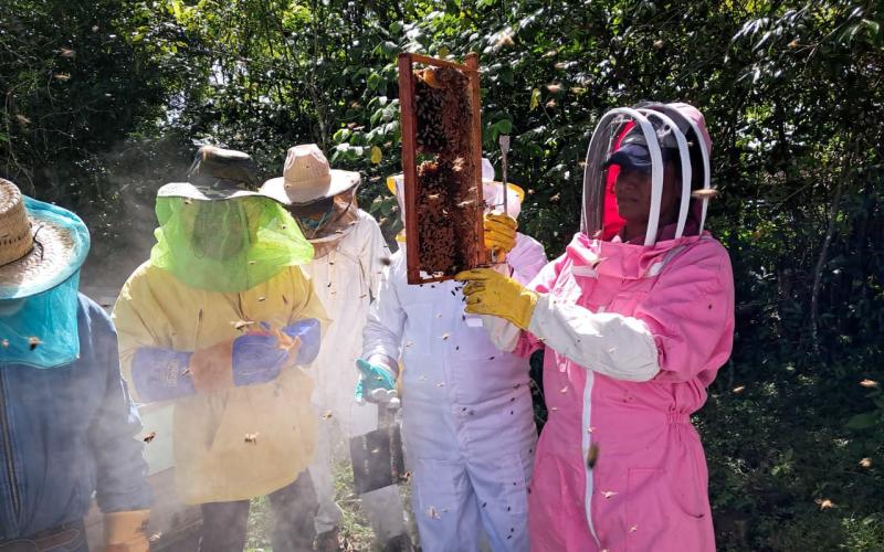 San Luis avanza en sanidad apícola con capacitación especializada