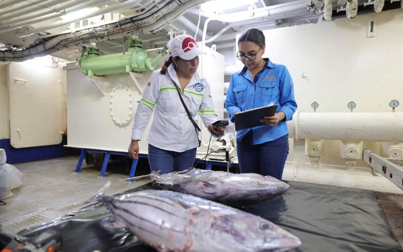 Verifican inocuidad de atún a bordo de barco en altamar