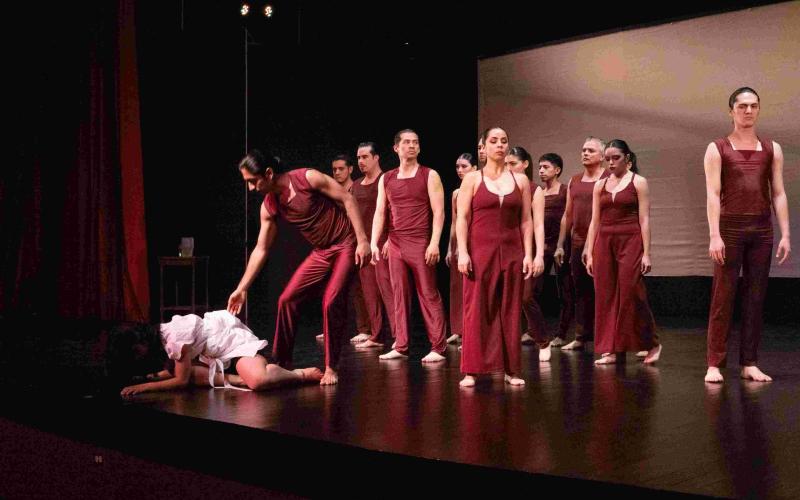 “Una mariposa en la ventana”