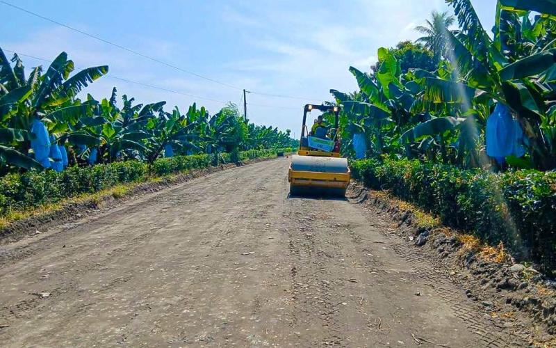 Conforman ruta de terracería entre Las Cruces y aldea Bolivia para mejorar la conectividad en la costa sur