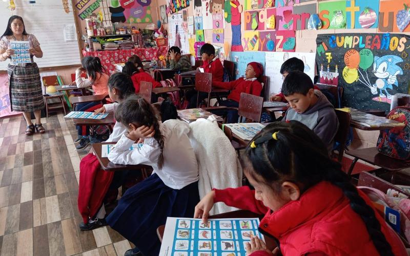 Escolares de Totonicapán aprenden en K'iche' los nombres de los animales