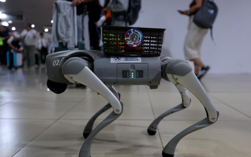 Esta tecnología fue presentada por el Ministerio de Agricultura, Ganadería y Alimentación (MAGA), que destacó su incorporación como parte del proceso de modernización de los mecanismos de vigilancia sanitaria en puntos fronterizos. Desde su ubicación estratégica en la terminal aérea, SAICA contribuye a prevenir la entrada de plagas y enfermedades que podrían afectar la producción nacional.