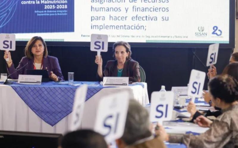 CONASAN aprueba el Plan de la Lucha contra la Malnutrición 2025-2028