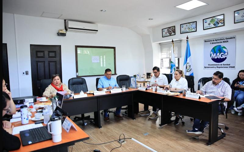 Concluye verificación para renovar licencia de exportación de camarón hacia México