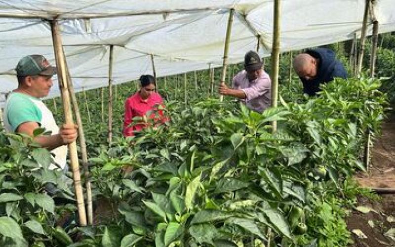 Nuevas oportunidades para las familias productoras de Palencia