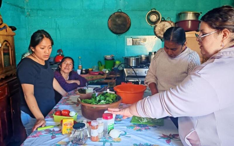 Insumos de huertos familiares contribuyen con la seguridad alimentaria