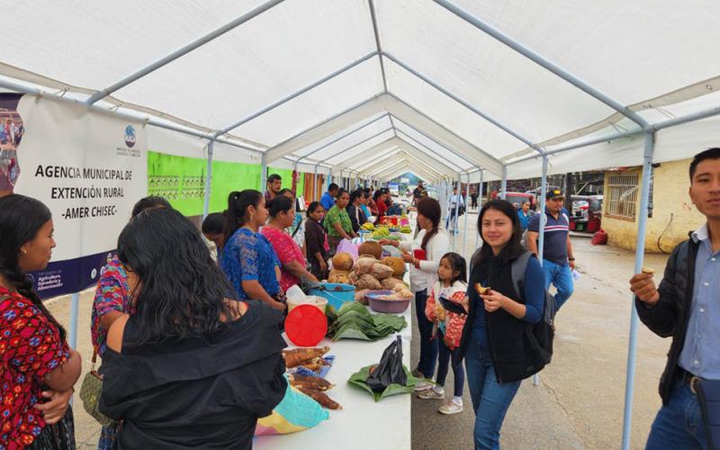 Amplia participación en Feria del Agricultor de Chisec, Alta Verapaz