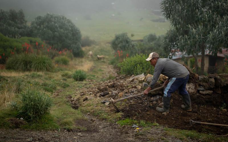 Bajas temperaturas podrían afectar a 108 municipios durante el fin de semana