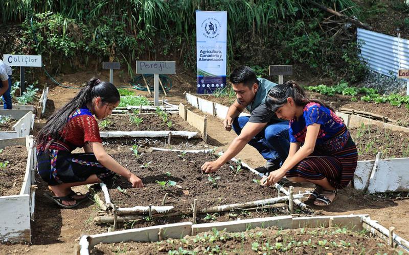 Beneficiadas más de 78 mil familias de municipios priorizados por iniciativa “Mano a Mano”