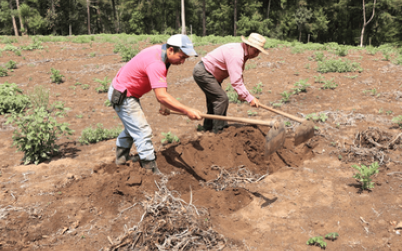 Ingreso de nuevo frente frío podría provocar lluvias y descenso de temperaturas
