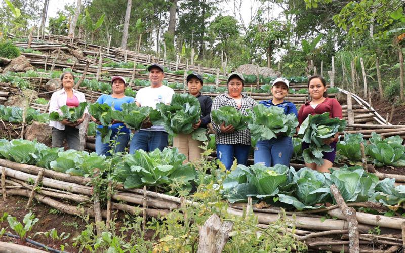 Día del Sector Público Agrícola Extensión rural clave para el desarrollo agropecuario