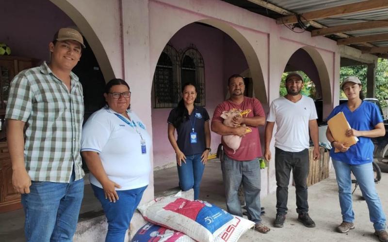 Distribuyen lechones a familias rurales de Petén