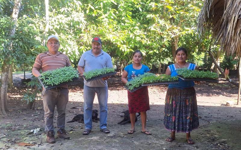 Entregan pilones de chile Cobán en El Chal