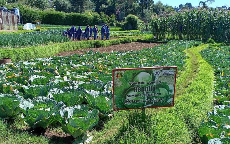Escuelas de Formación Agrícola atendieron a más de un millar de jóvenes en 2025