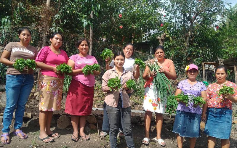 Familias zacapanecas obtienen cosechas e ingresos por huertos familiares