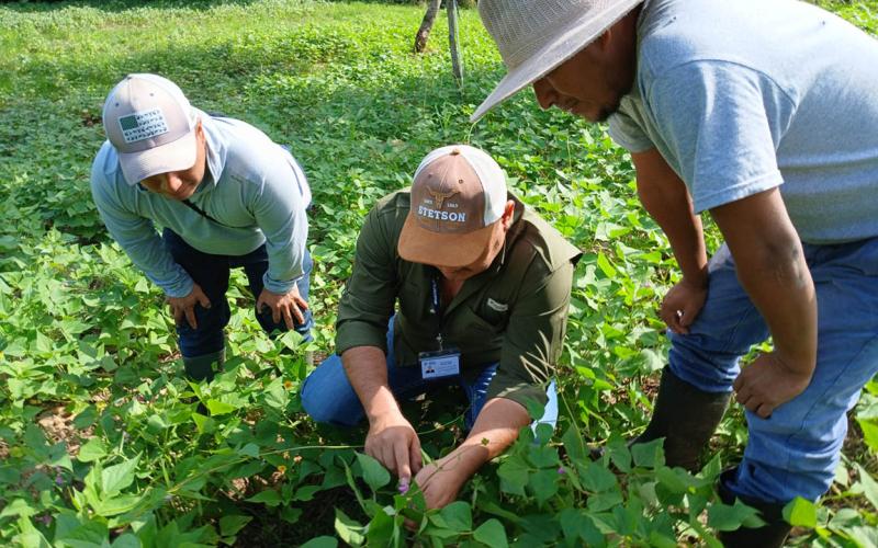 Fortalecen capacidades de productores rurales en distintas áreas