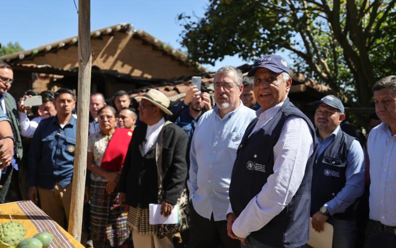 Huertos, asistencia técnica e insumos fortalecen la agricultura familiar