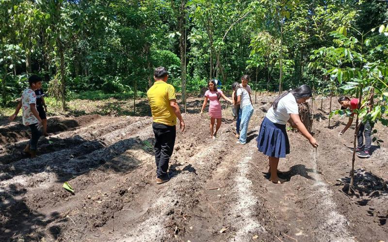 Implementados 1474 huertos escolares con fines pedagógicos