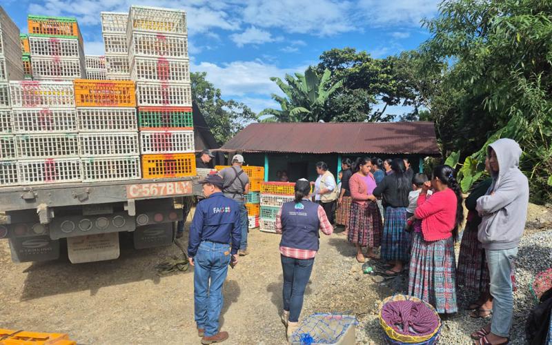Impulso a la seguridad alimentaria en Alta Verapaz