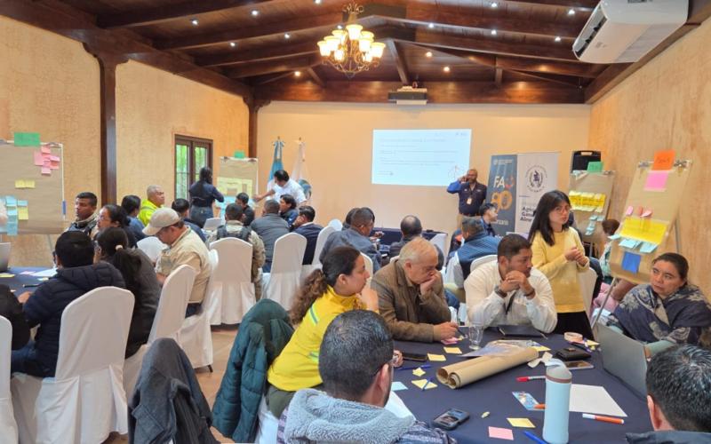 Impulso para la formulación participativa de la Política Nacional del Fuego 