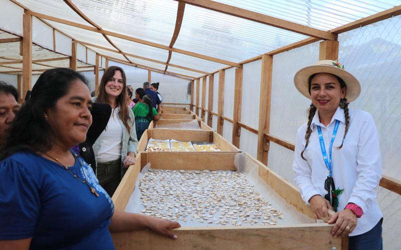 Inauguran Centro de Deshidratación y Procesamiento de Cultivos Nativos en Petén