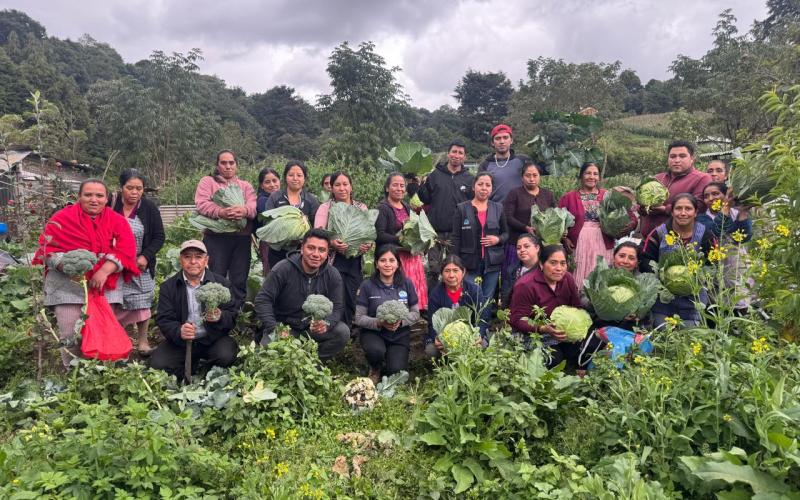 Los CADER son clave para la promoción del desarrollo y la gestión de acciones